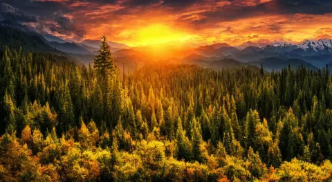 Majestic Forest Mountain Landscape Sunset