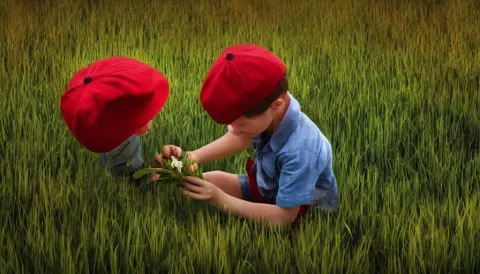Young Boy with a Red Hat Harvesting Flowers in the Grass Field