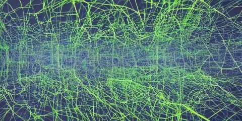 Meadows Intertwined with Compression Algorithms