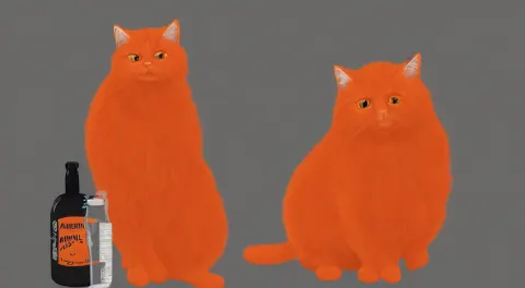 Fluffy Orange Cat Standing Next to a Bottle of Medicine