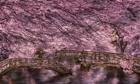 Wooden Bridge Twiddle a Plopple