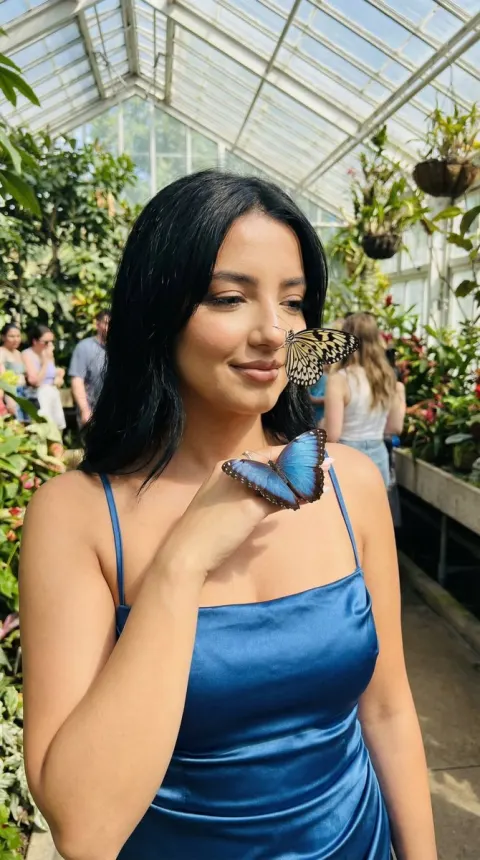 Blue Butterfly Greenhouse Dream