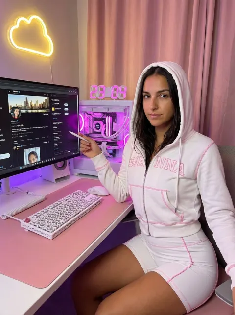 Cozy Pink Gaming Desk Setup