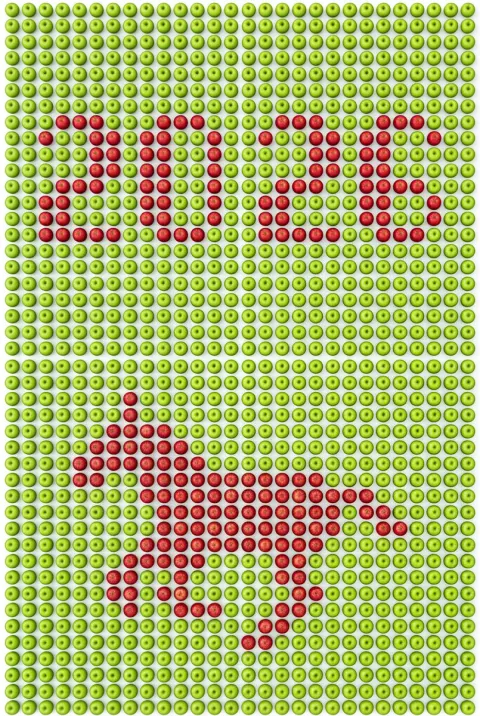 Pixel Art Citrus Grid Photography