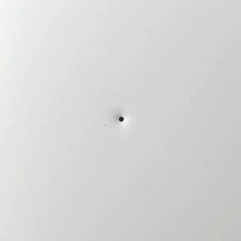 Perfect Black Dot On White