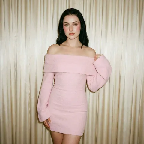 Elegant Pink Dress Portrait