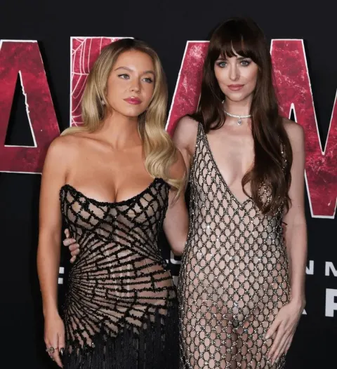 Hollywood Stars Red Carpet Glamour