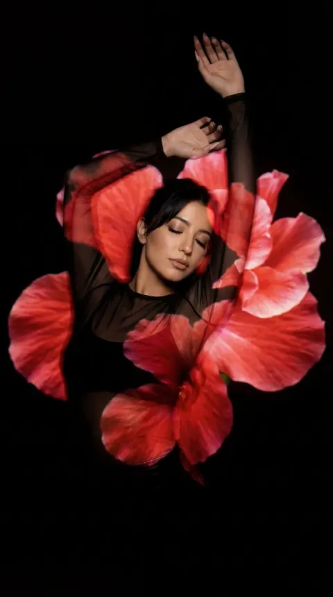 Crimson Dance of Shadows