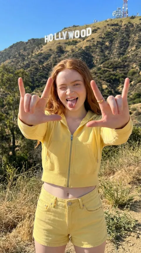 Hollywood Hills Influencer Style