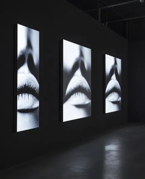 Gothic Video Art Installation Displaying Lips