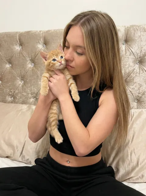 Star Cuddling Cute Kitten Portrait