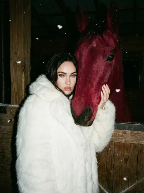 Crimson Horse Night Portrait