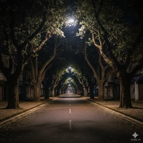 Quiet Night Street With Petals