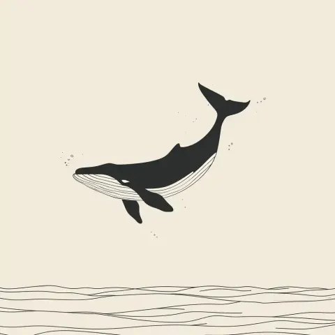 Minimalist Whale Dive