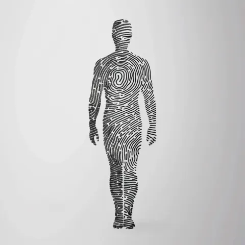 Wireframe Fingerprint Figure