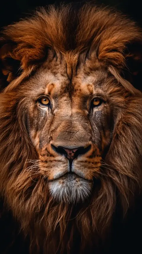 Ultracolour Lion Wallpaper