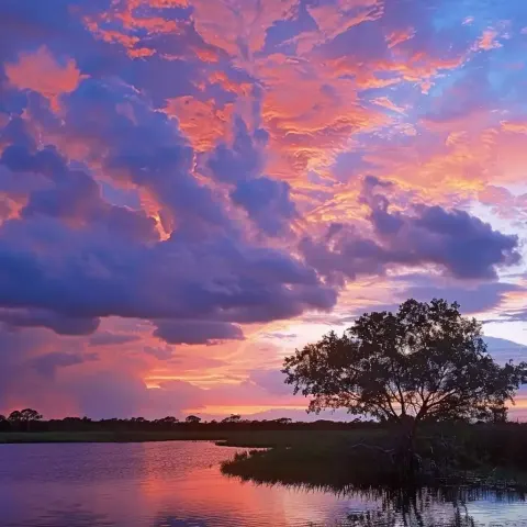 Everglades Sunset Animation