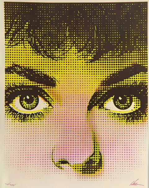 Pop Art Chaos Screenprint