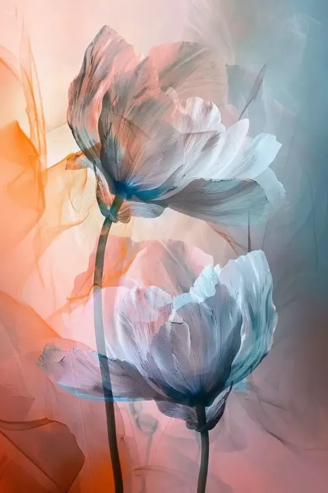 Floral Allegory in Masterful Styles