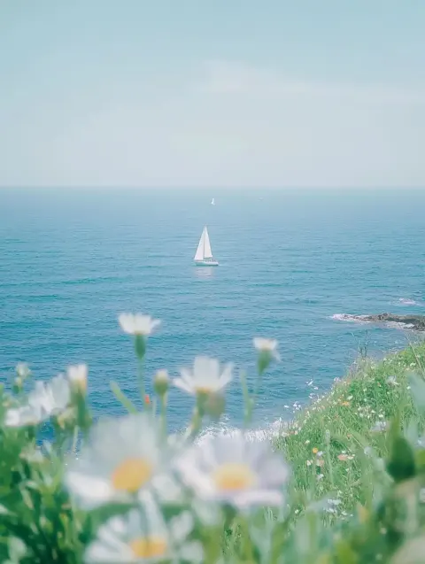 Seaside Rinko Scene