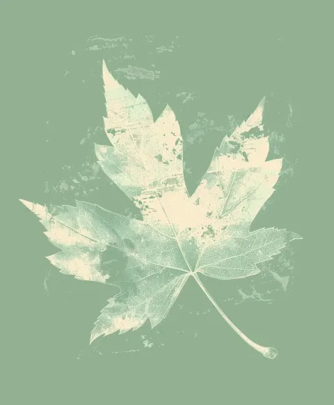 Wabi-Sabi Leaf Illustration