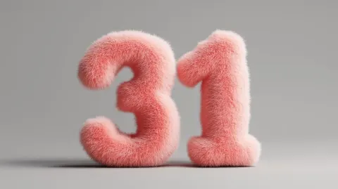 Fluffy Plush Number 31