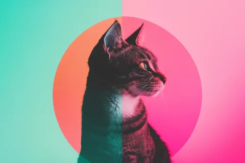 Abstract Symmetrical Cat Design