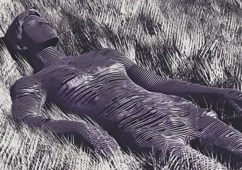 Aerial Portrait of Solitude
