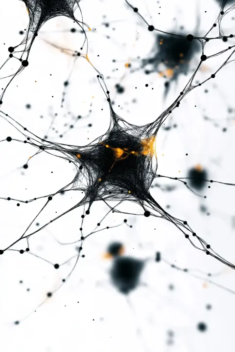 Neural Networks in Motion