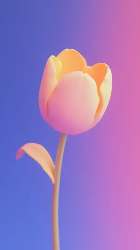 Tulip in Graphic Style