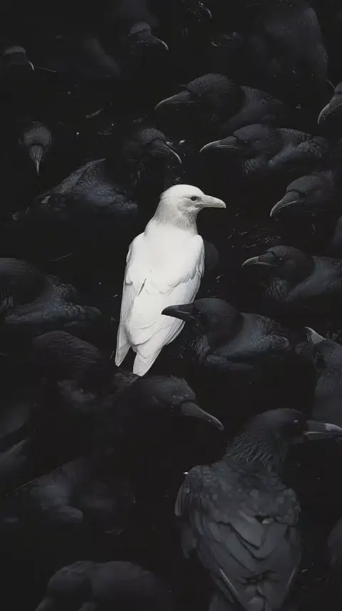 White Crow Among Crows