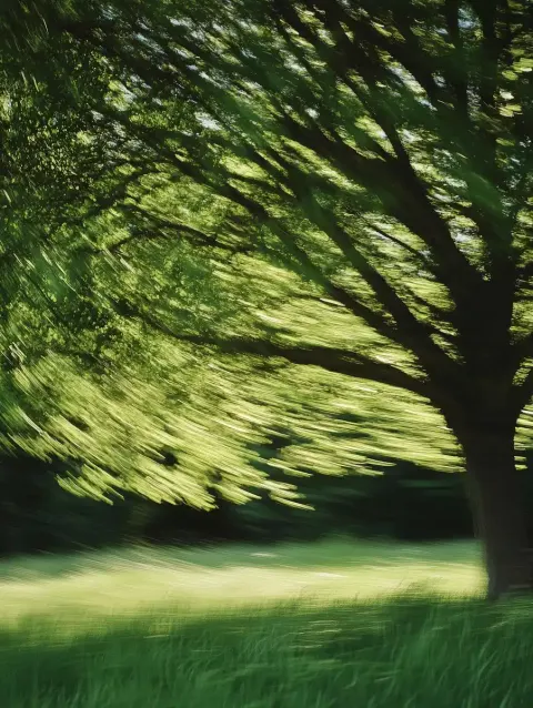 Retro Tree in Wind