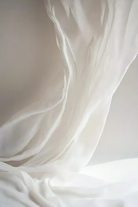 Minimalist White Background