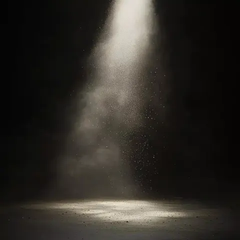 Dust Particles in Light