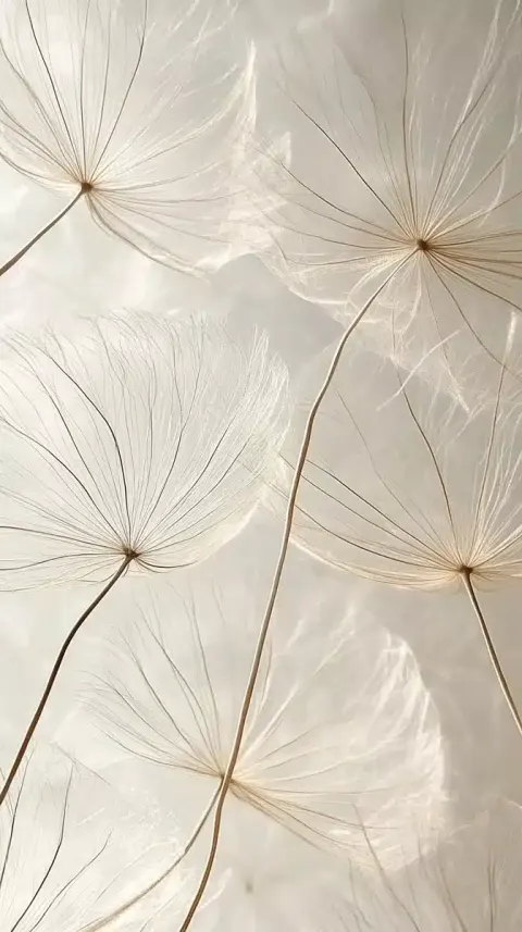 Delicate Dandelion Seeds Close-Up
