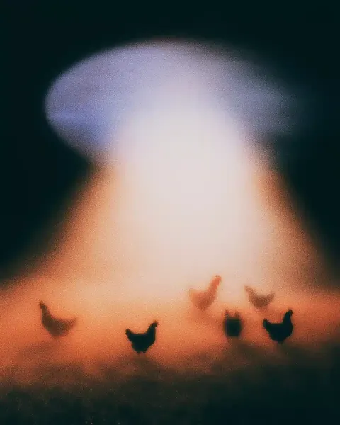 Vintage Sci-Fi Saucer Chickens