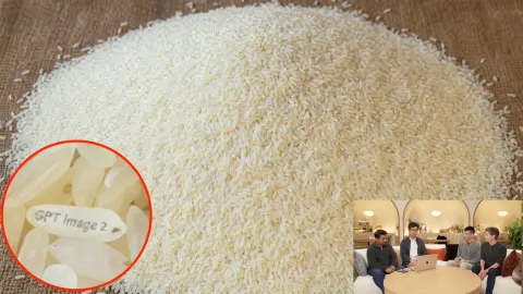 Rice Grain Macro Easter Egg