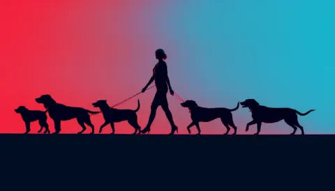 Female Dog Walker With Five Dogs Anaglyph Silhouette