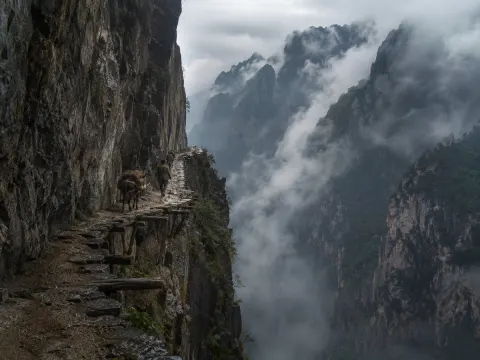 Lone Traveler on Misty Cliff Road