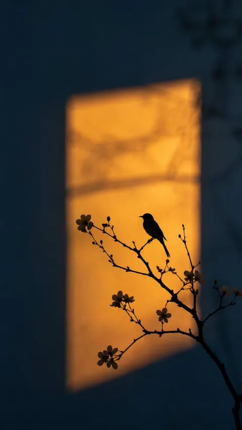 Zen Bird Silhouette Window Light
