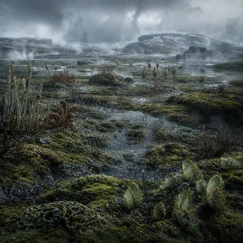 Cinematic Prehistoric Alien Swamp Landscape