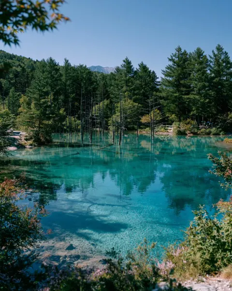 Serene Turquoise Alpine Pond Reflections