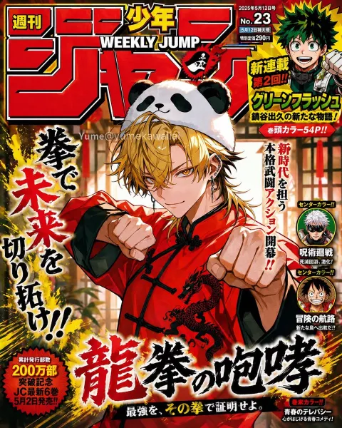 Dragon Fist Hero Debuts