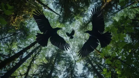 Three Black Crows Circling Above a Dark Summer Forest