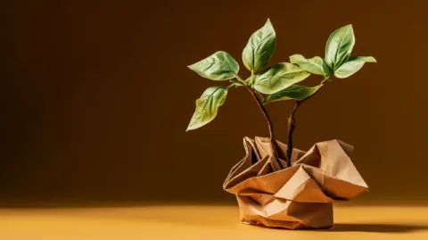 Plant Growing From Crumpled Paper Handcrafted Concept