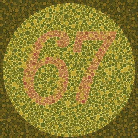 Ishihara Color Blindness Test Revealed