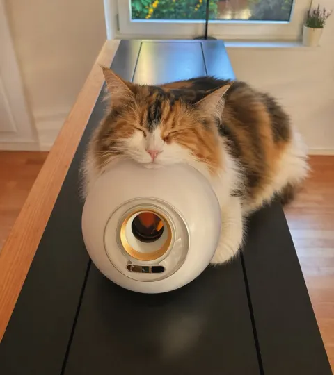 Sleeping Calico Cat On Appliance