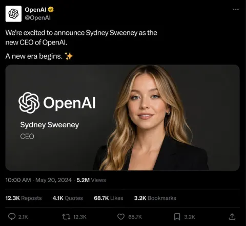 OpenAI Announces New CEO