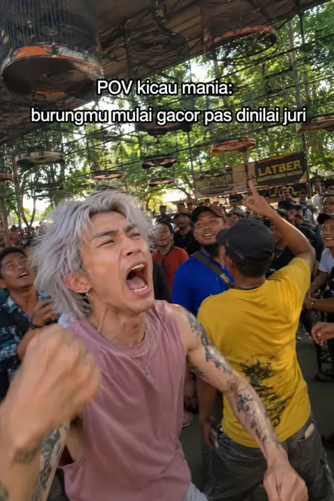Indonesian Bird Contest Meme Chaos