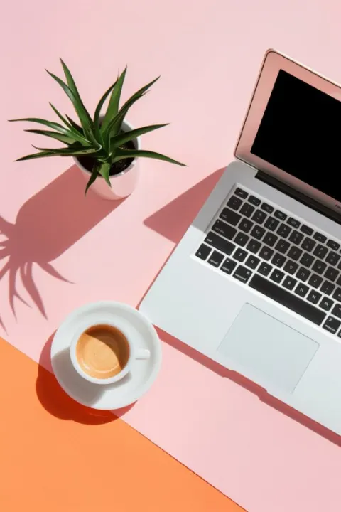 Sleek Pink Flatlay With Laptop Plant and Coffee Cup